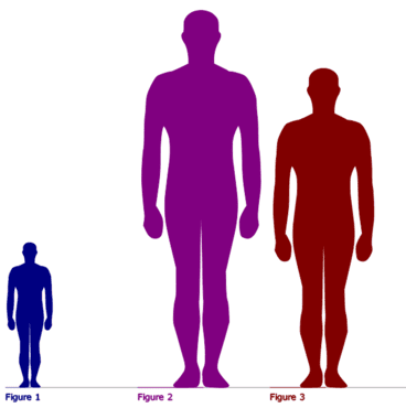 height scale of modern humans, prehistoric Avertians, and modern Giants